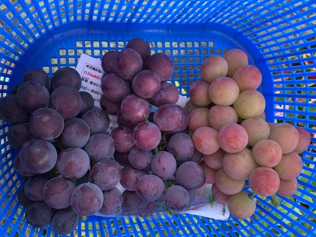 ハーブワールドAKITA レストラン - サブ画像2