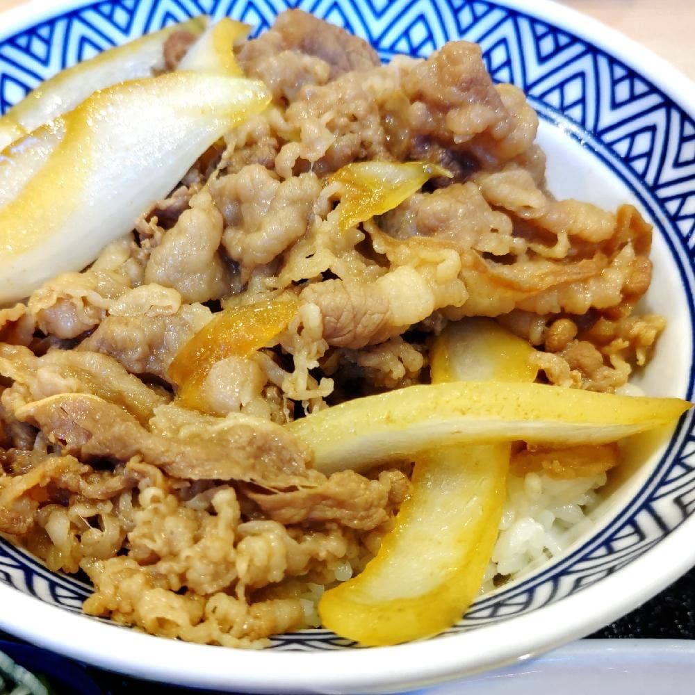 吉野家 尾久橋通り皿沼店