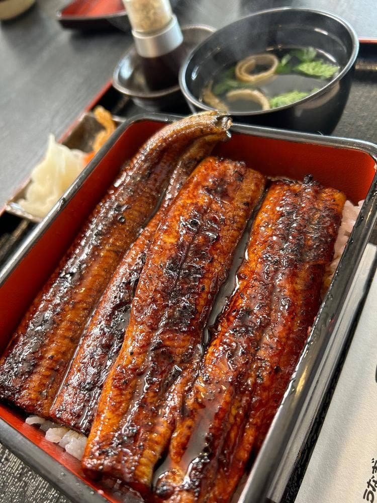 うなぎ食事処 浜乃木