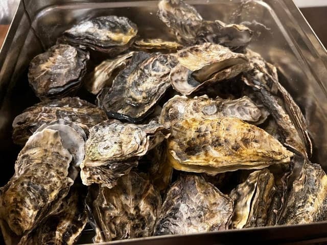 Oyster & Spanish Italian Girasole - サブ画像2