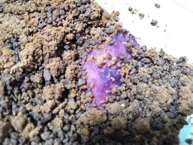 ふくのいも - サブ画像2