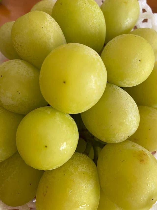 JAえひめ中央おひさま食堂 - サブ画像3
