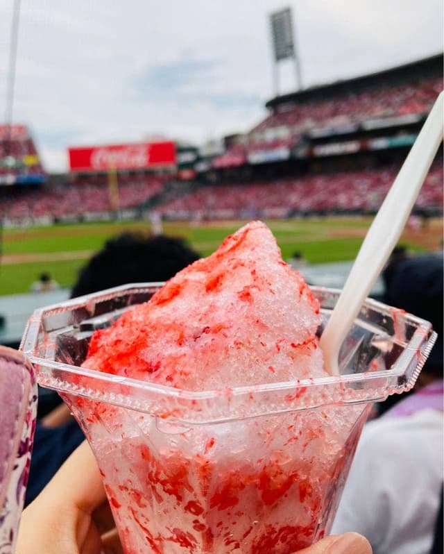 MAZDA Zoom-Zoom スタジアム 広島 - サブ画像1