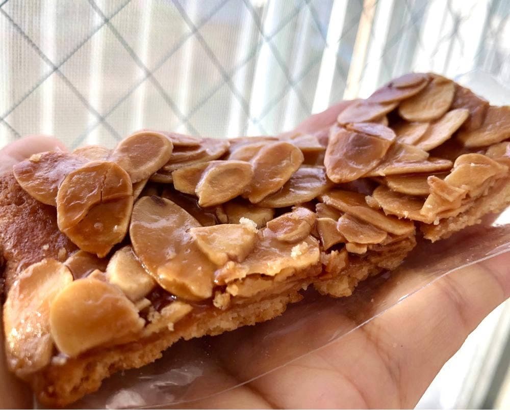 かしの木・Mi・CHi