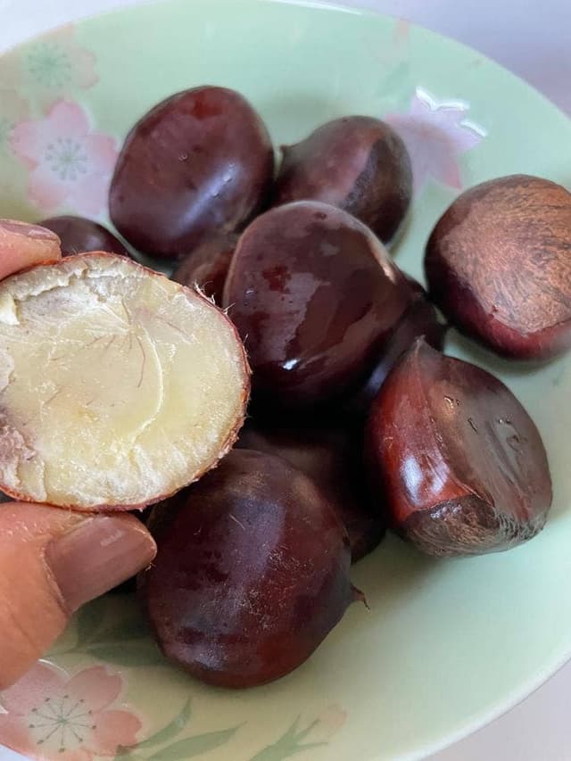 道の駅 京丹波 味夢の里 - サブ画像2