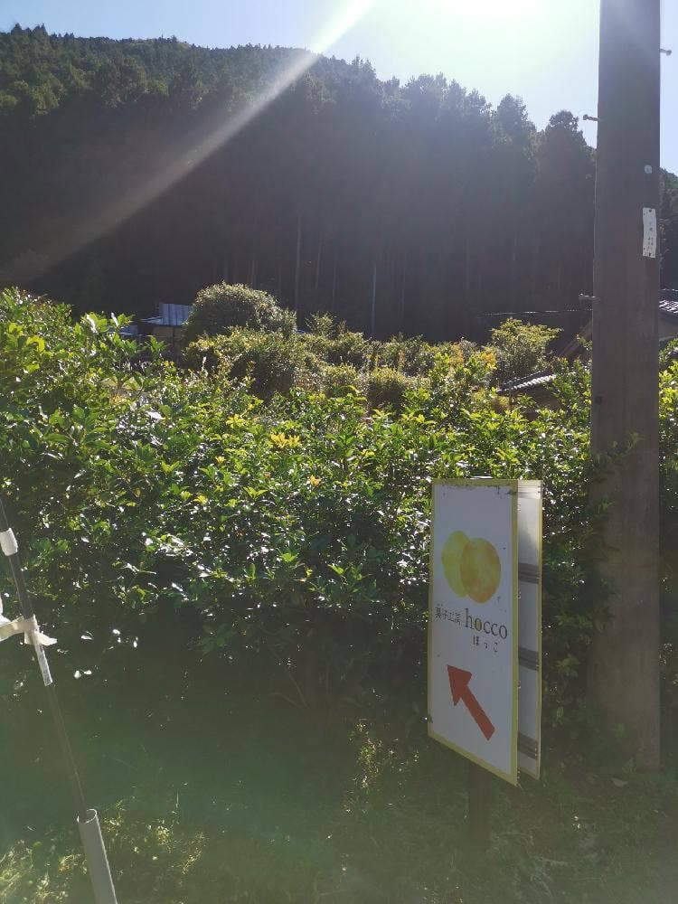 菓子工房HOCCO