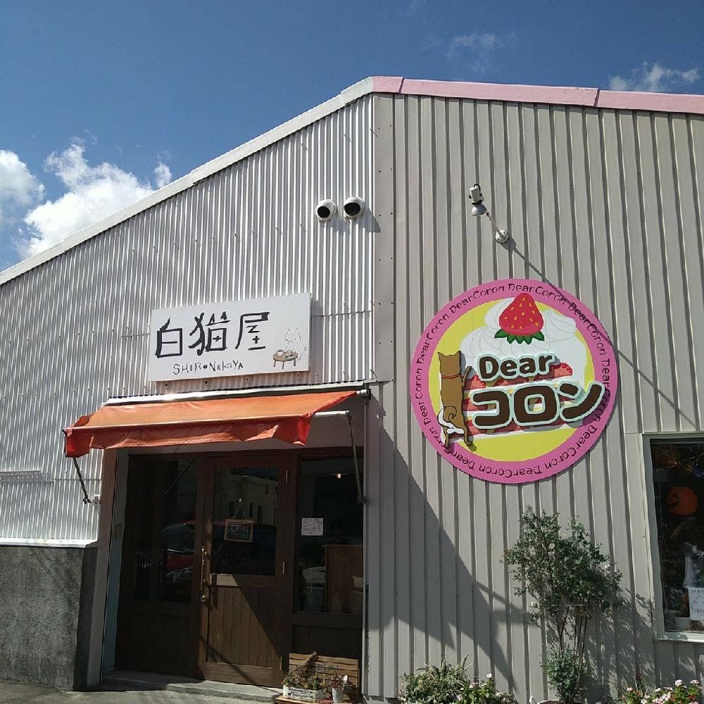 白猫屋