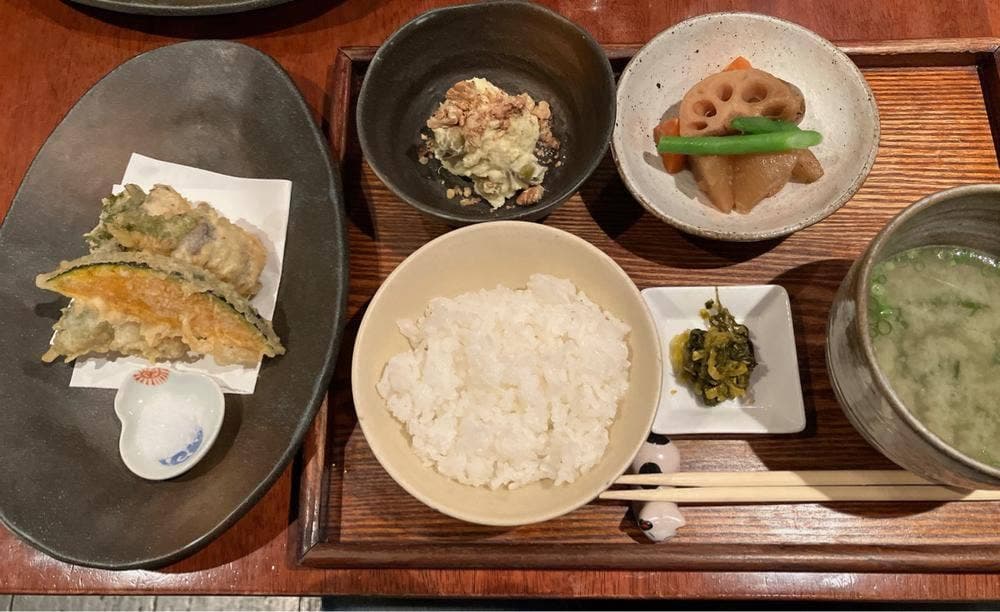 猫と魚