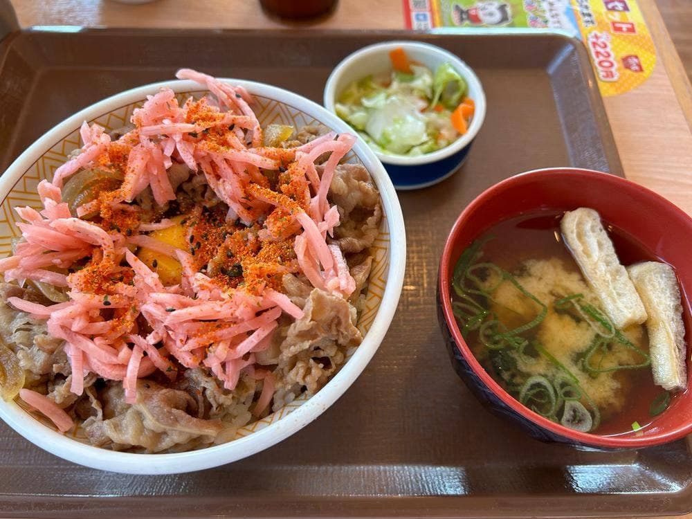 すき家 207号鹿島店