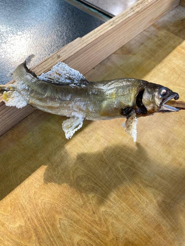 道の駅 古今伝授の里やまと - サブ画像3