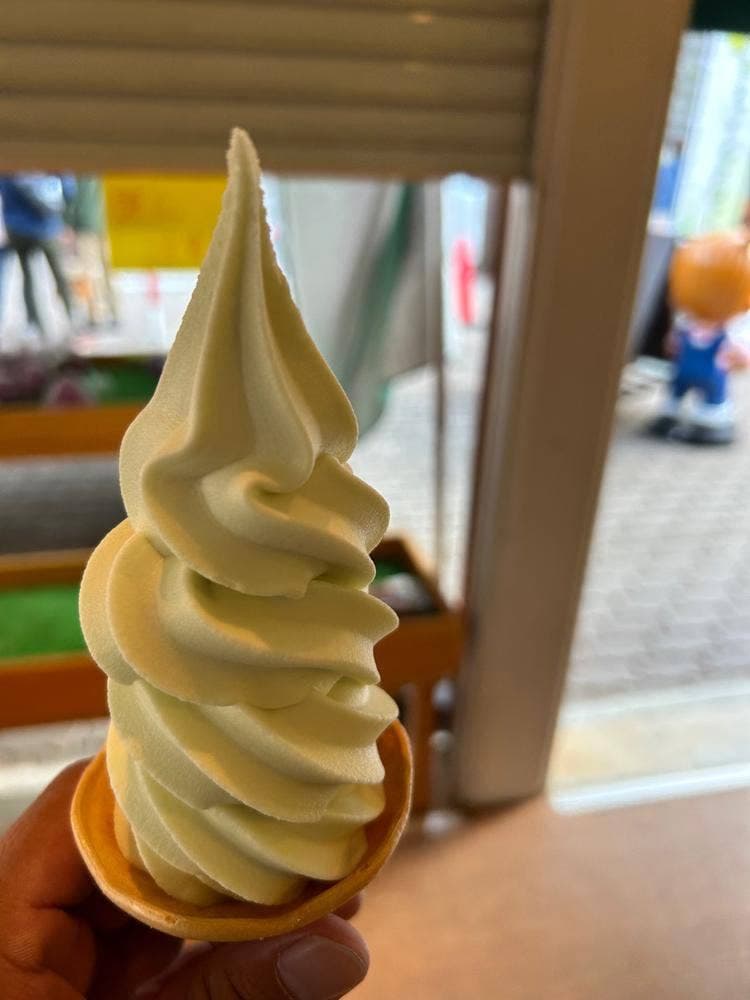 道の駅 風穴の里 売店