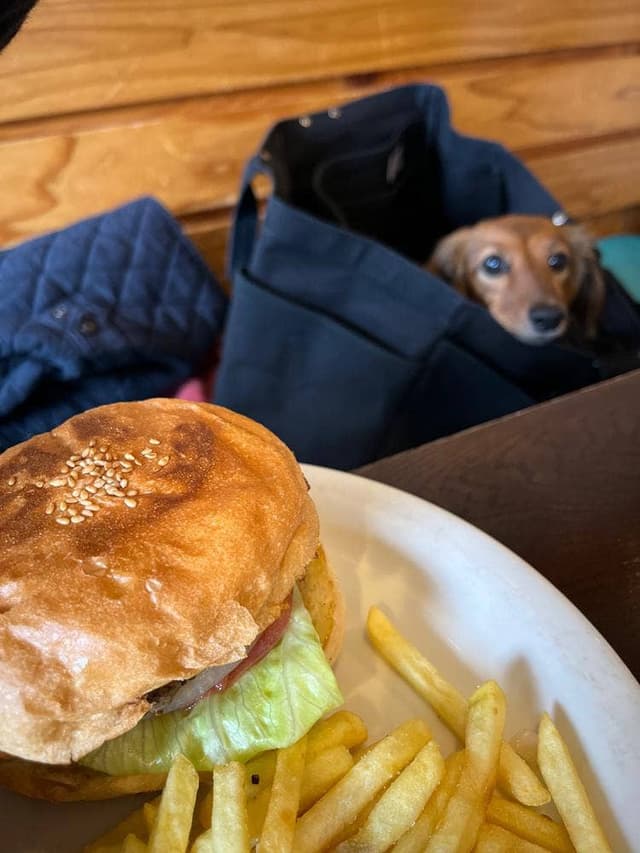 ニュー オールド - サブ画像3