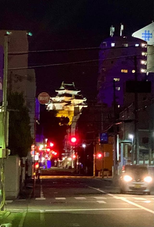 軍鶏 ジークック - サブ画像3