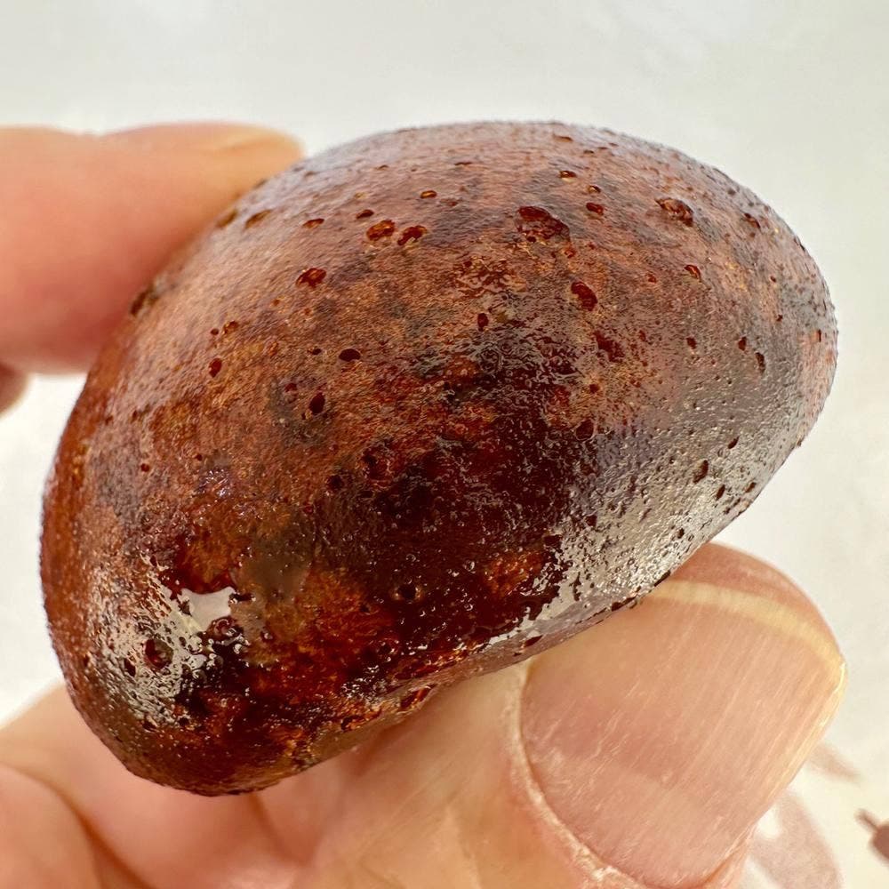 放生若狭屋 とやマルシェ店