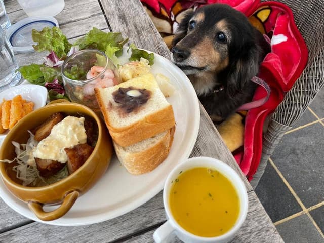 オランダ屋 富雄店 - サブ画像2