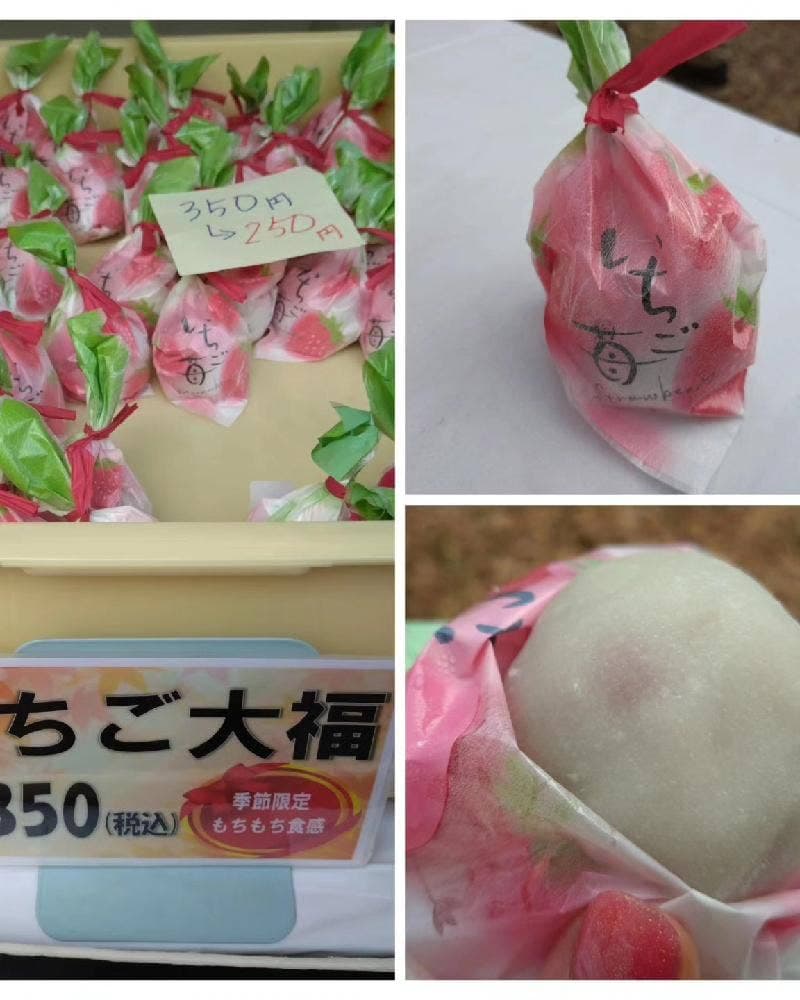 手作り和菓子 ちぐさ