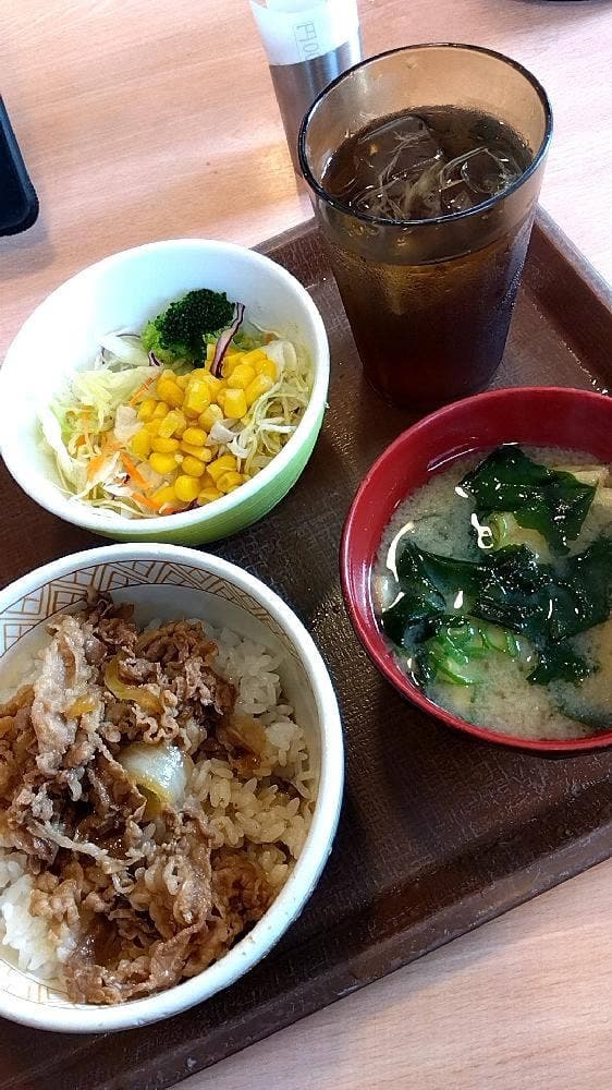 すき家 西脇野村店