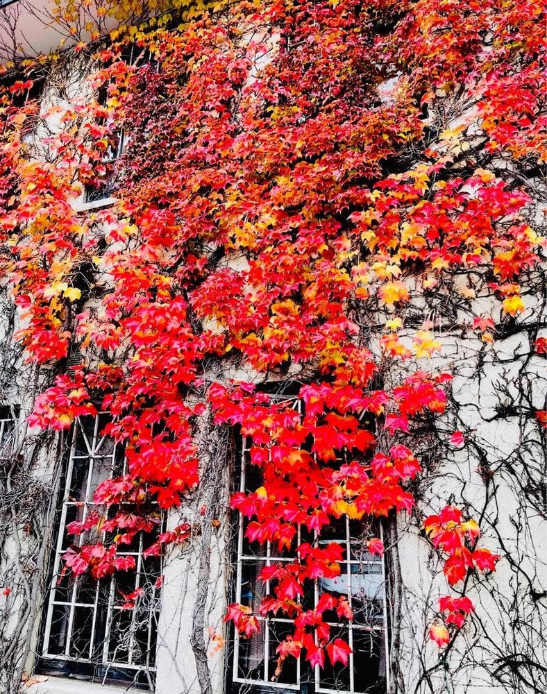 レトロカフェ異人館