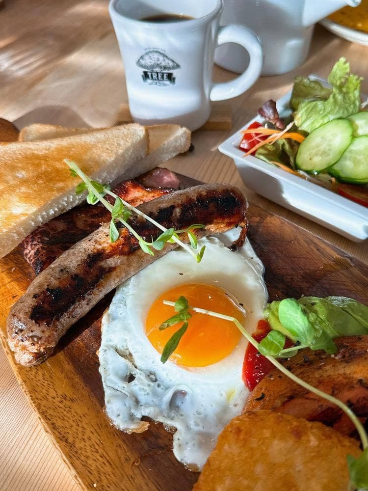 Tree Anthony's Kitchen