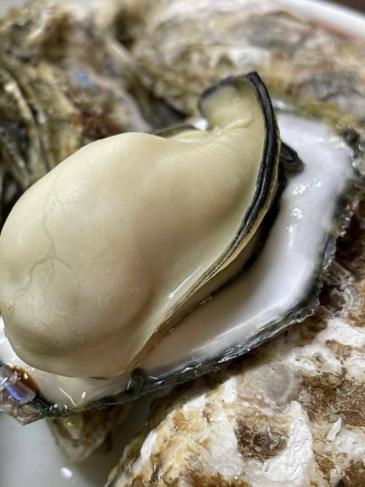 海鮮料理 磯