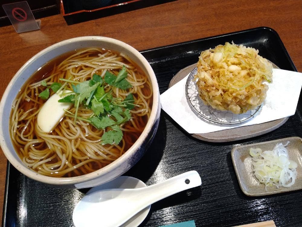 遊庵
