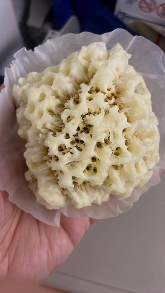 柴舟小出 金沢百番街店 - サブ画像2