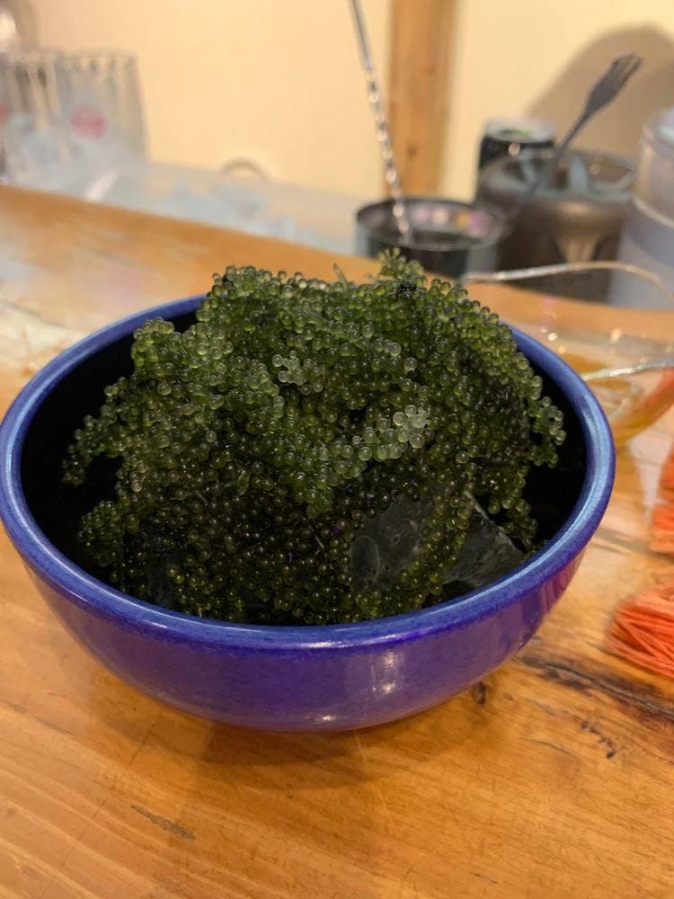 ライブ居酒屋 うりずん