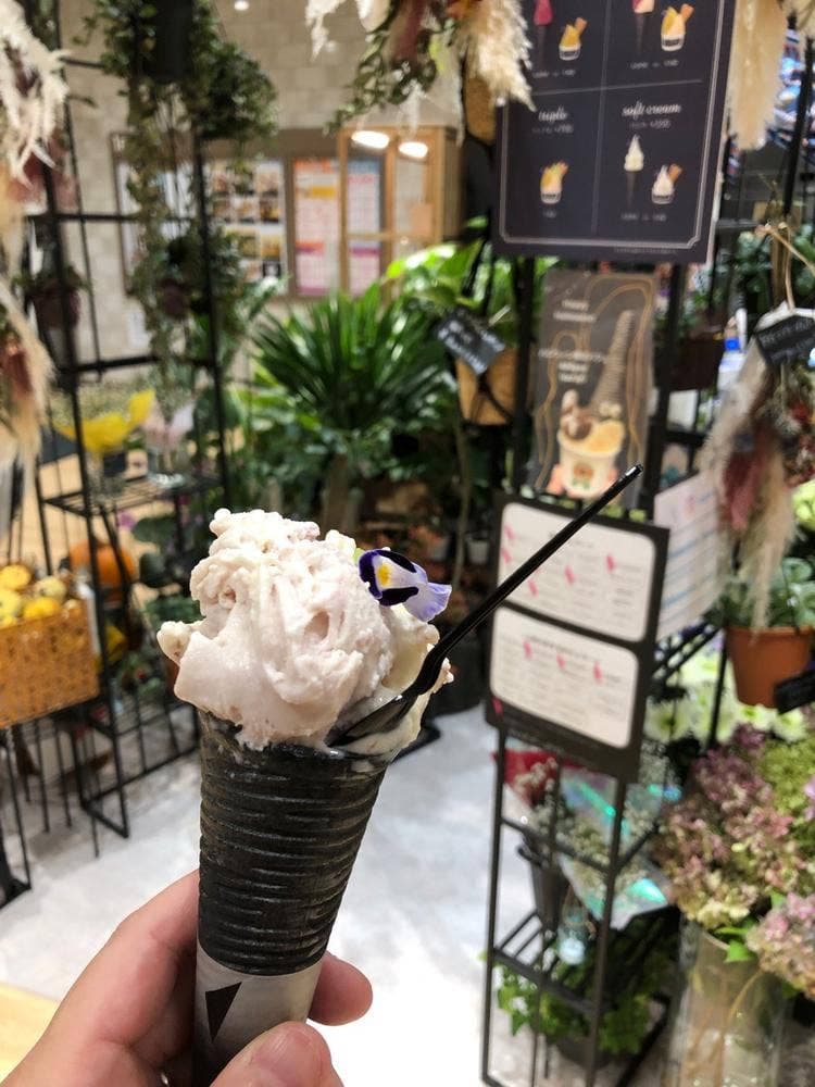BLUE ONION Scoop