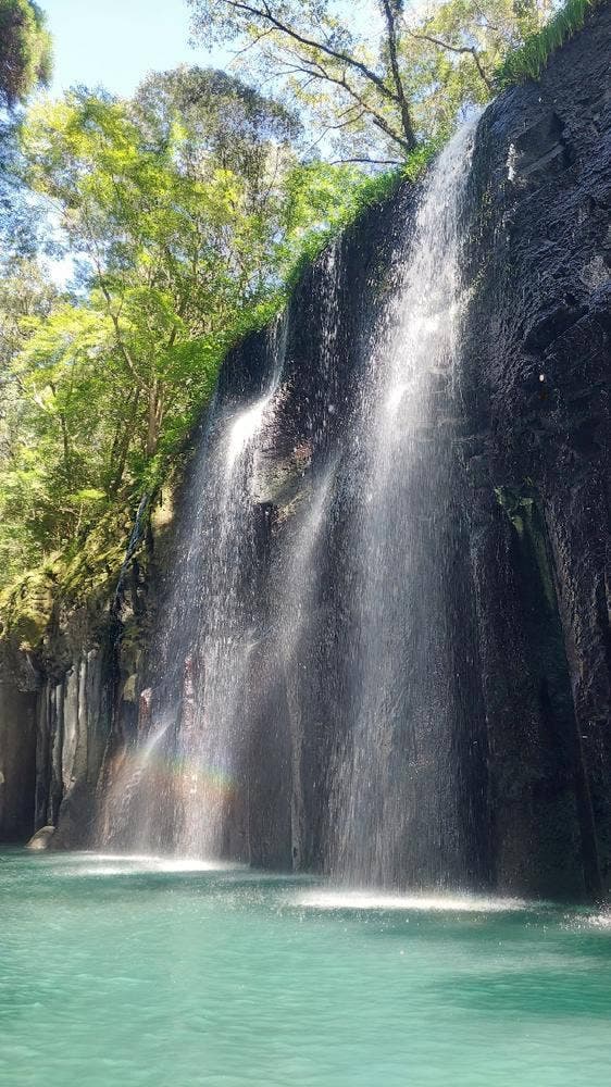 Cafeterrace TAKACHIHOYA - サブ画像3