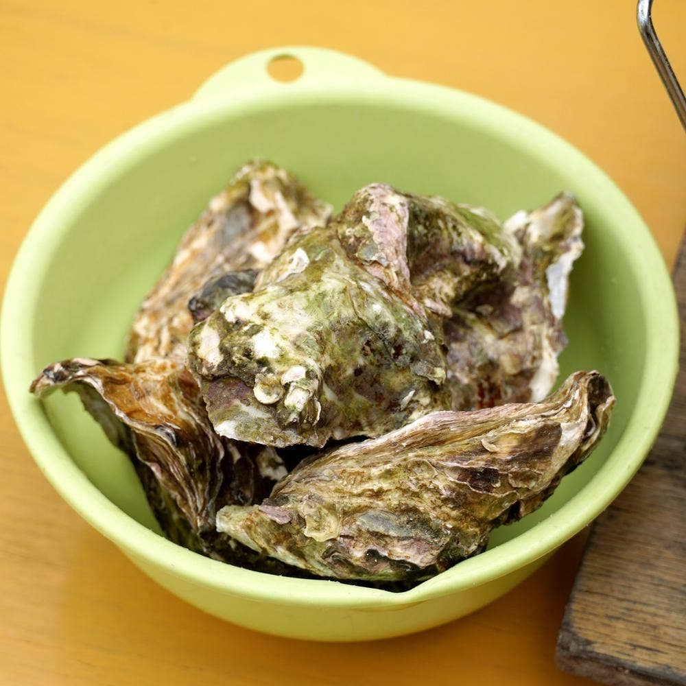 カキハウス 内海湾