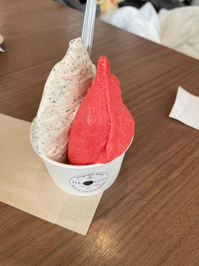 プレミアムジェラート・ハレ Terrace軽井沢店 - サブ画像1