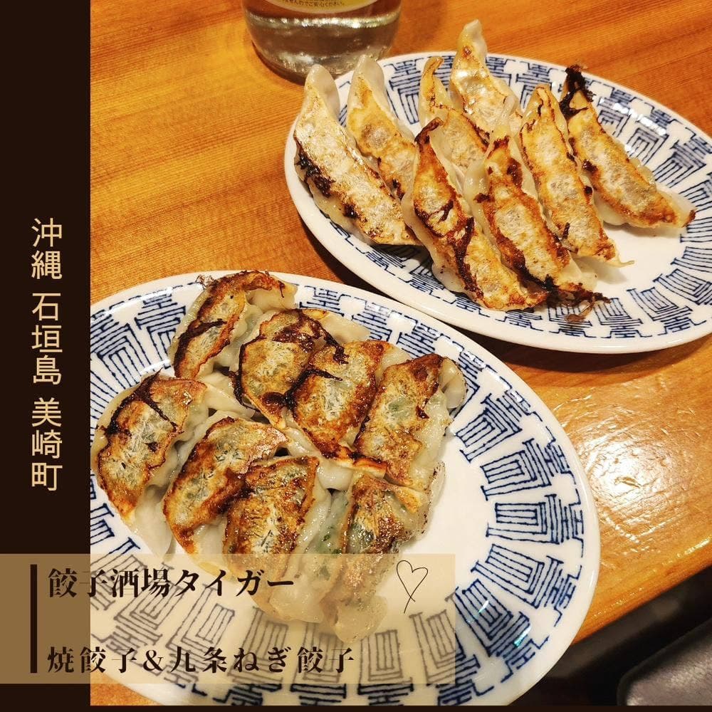 餃子酒場タイガー 石垣島