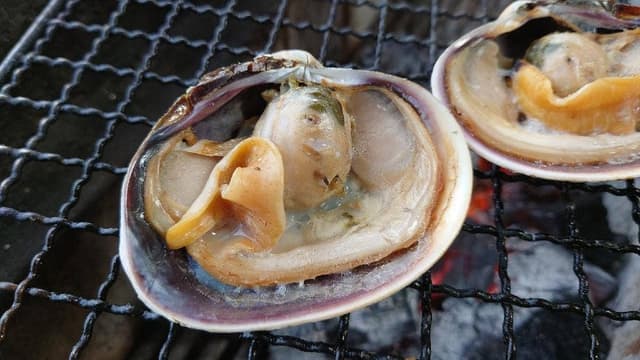 魚太郎 本店 浜焼きバーベキュー - サブ画像3