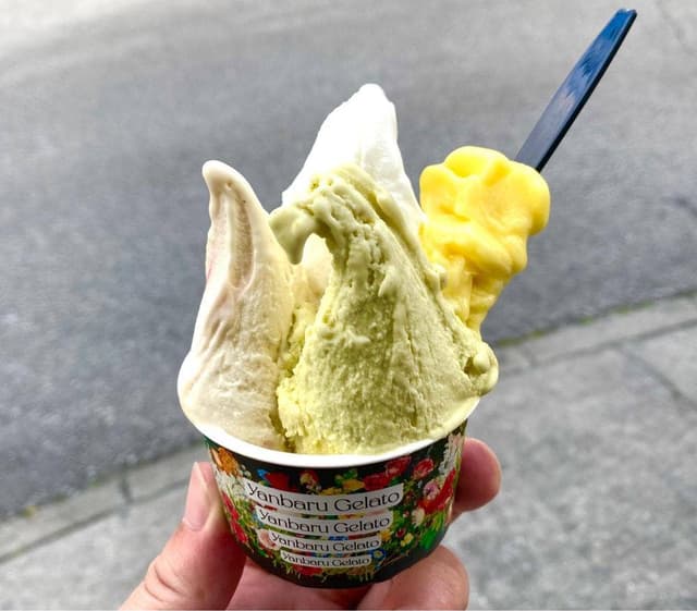 やんばるジェラート 本店 - サブ画像2