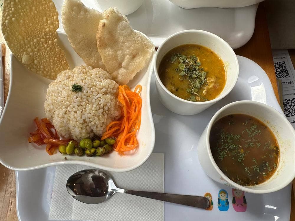 南阿蘇 南インドカレー カフェ山猫軒