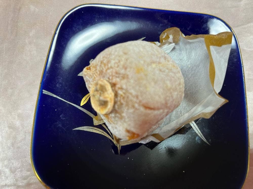 満天星 一休 苗木店