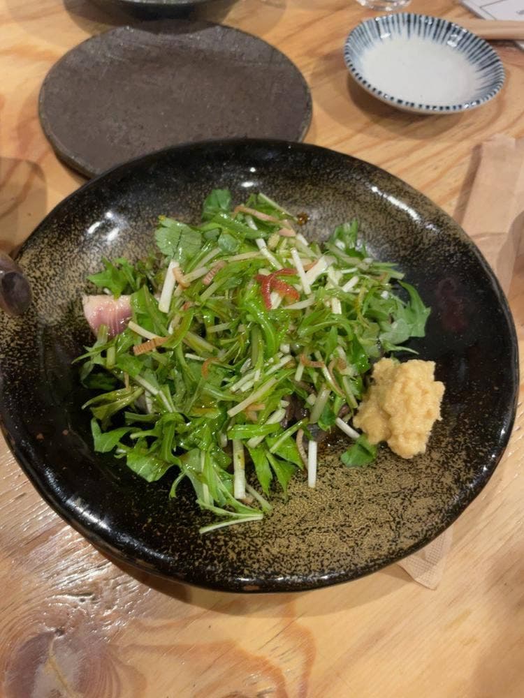 大衆酒場 ニューオドロカ