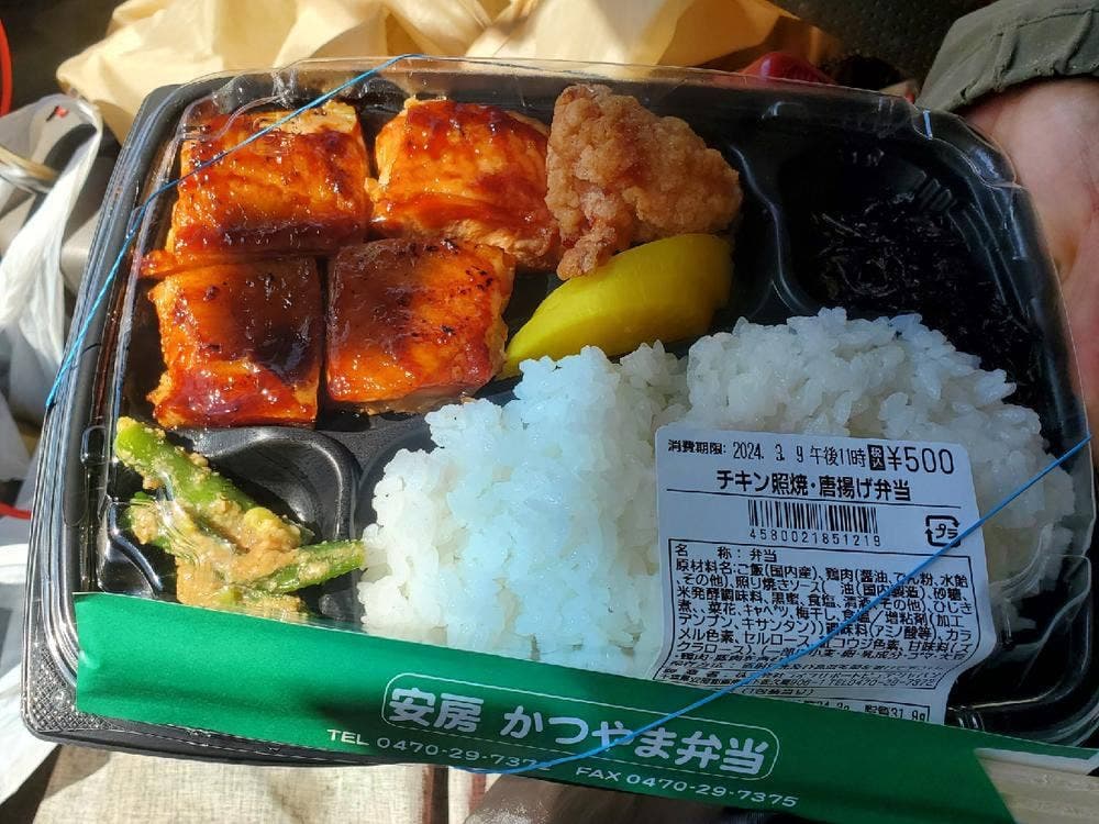 安房かつやま弁当