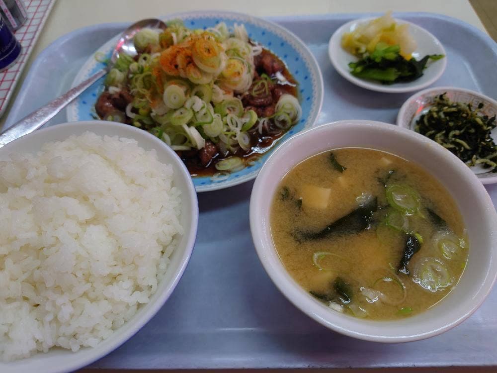中華料理 桃源