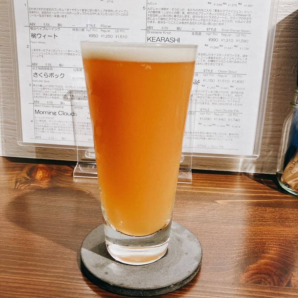 Craftbeer Sloth House