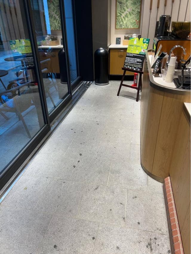 スターバックス コーヒー 日本橋高島屋S.C.新館1階店 - サブ画像1