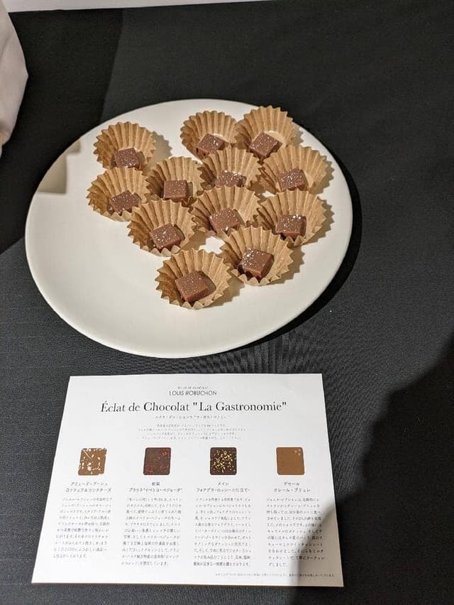 Éclat de Chocolat Louis Robuchon - サブ画像1