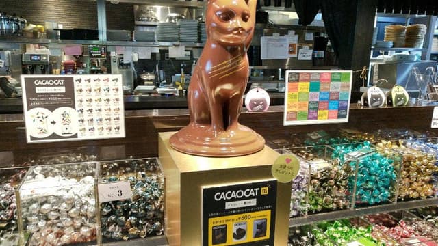 CACAOCAT 岡山青江店 - サブ画像1