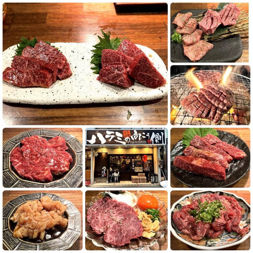 ハラミの向こう側