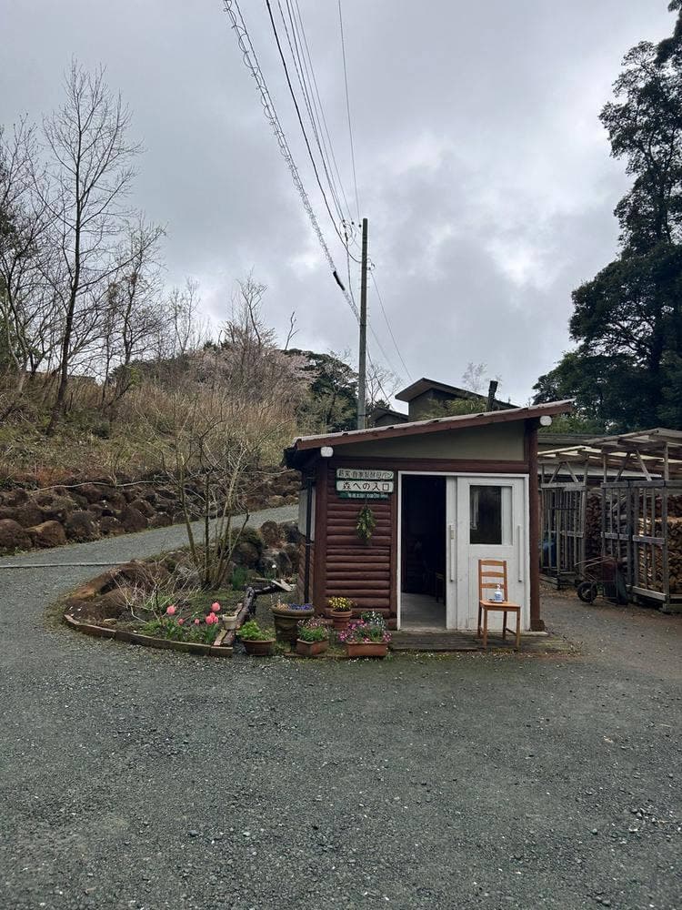 森への入口