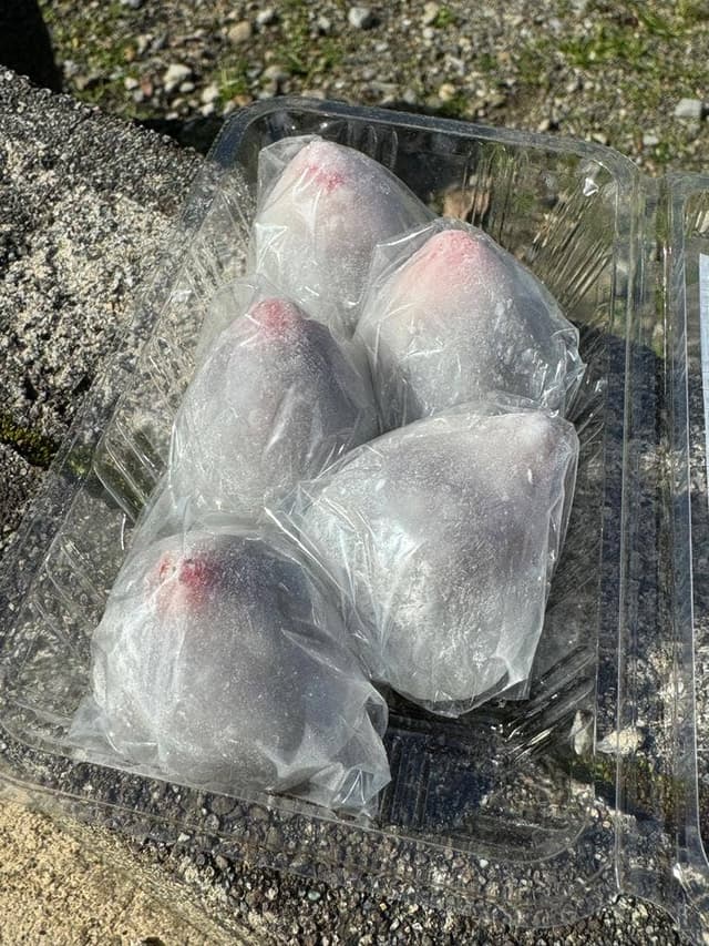 丸屋松月堂 - サブ画像2