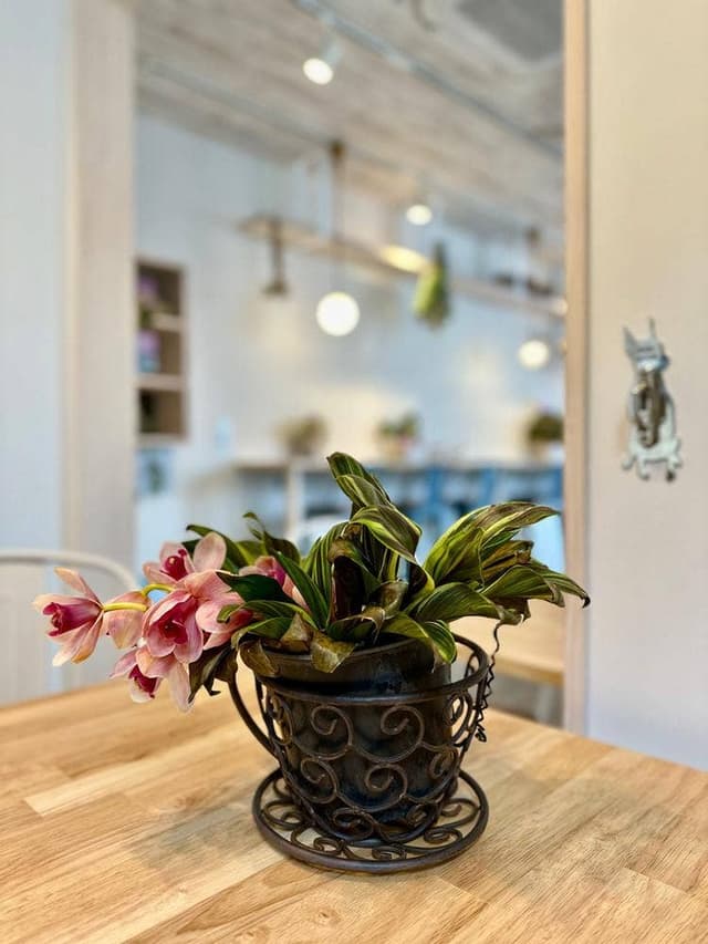 alt. coffee roasters Iwashimizu - サブ画像2