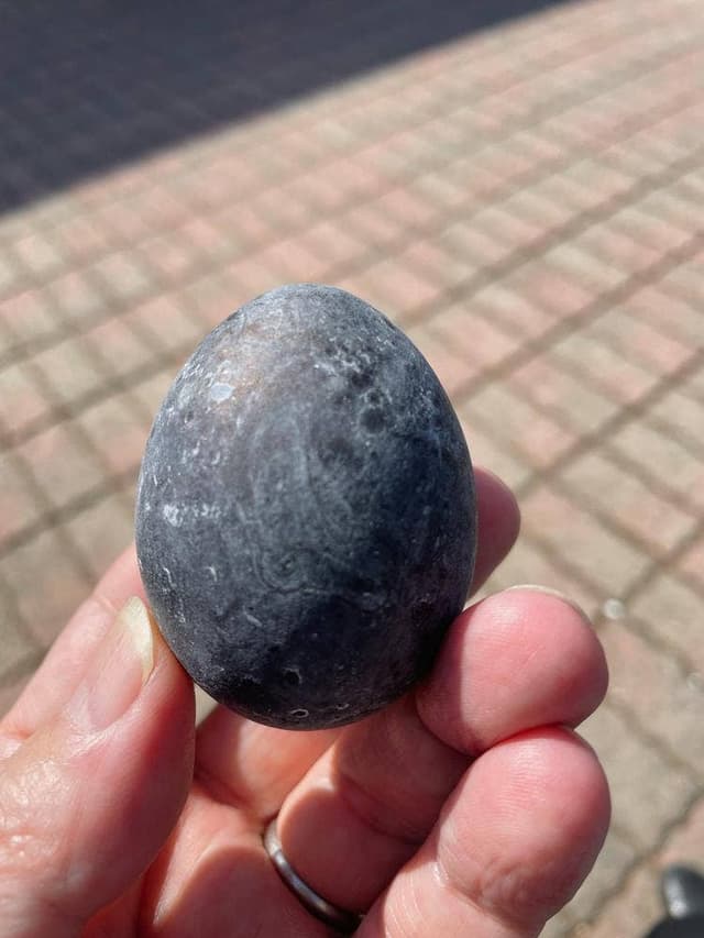 くろたまショップ 大涌谷くろたまご館 - サブ画像3