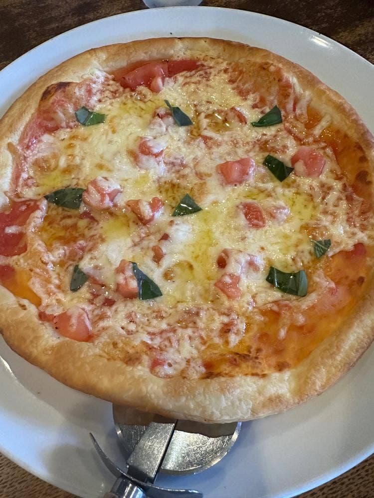 pepecino 小戸店