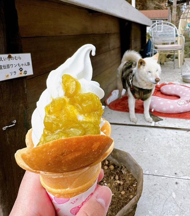 えいちのむらファーマーズキッチン - サブ画像3